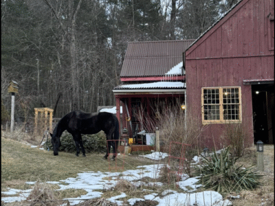 Golden Moon Farm